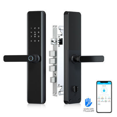 Serrure de porte intelligente biométrique de Wifi avec la serrure de porte Keyless d'entrée de poignée avec l'empreinte digitale