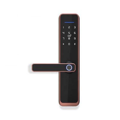 Serrure de porte biométrique intelligente d'empreinte digitale de Digital de serrure de porte de Wifi d'APPLI électrique de Tuya